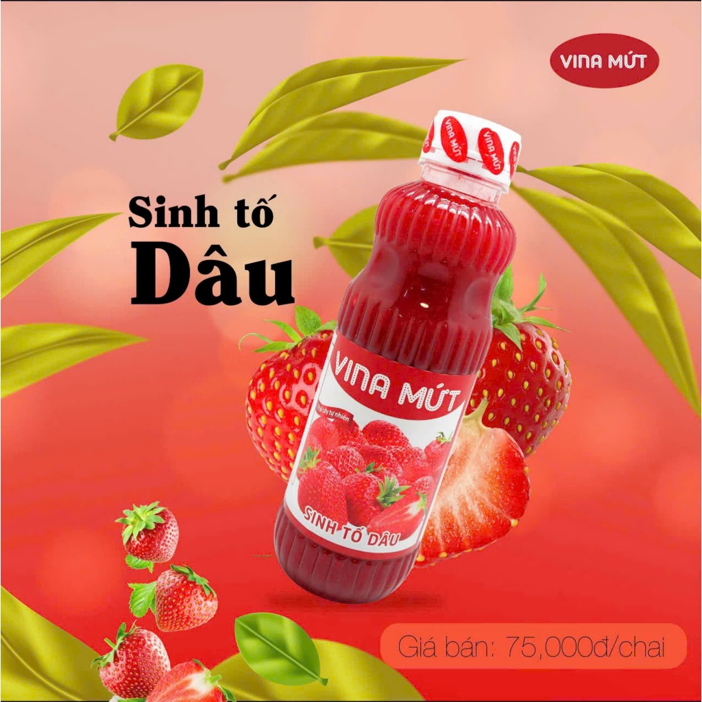 Sinh tố Vina chai nhựa 1000g