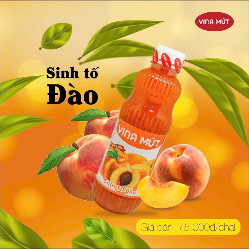 Sinh tố Vina chai nhựa 1000g