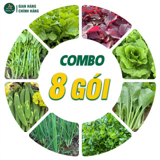 [COMBO 8 GÓI] Hạt Giống: Rau muống, Mồng Tơi, Dền, Cải Ngọt, Mướp Hương, Xà Lách, Hành Lá, Rau Mùi