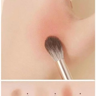 Bộ Cọ 8 cây Trang Điểm Mạ Vàng Phấn Mắt và tạo khối mũi siêu thích