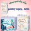 COMBO 2B Tã BỈM DÁN/QUẦN GOOBY NGÀY / GOOBY ĐÊMHÀN QUỐC SIZE NB72/NB68/S54/M50/ M54/L50/XL48/XXL46/XXXL38
