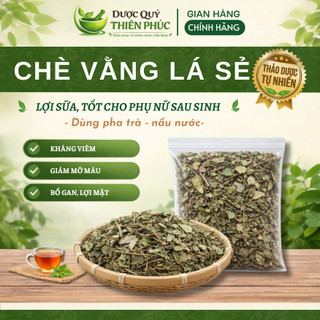 🌿 Lá Chè Vằng Khô Tự Nhiên 100% – Nấu Nước Uống Thanh Mát – Dược Quý Thiên Phúc