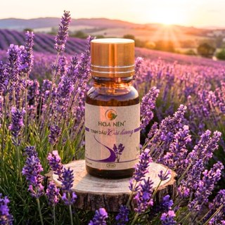 Tinh dầu Oải Hương (lavender) nguyên chất 30ml, 10ml - Hoa Nén - Xông phò.ng, thư giãn, ngủ ngon
