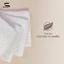Tất Vớ Trơn Basic Soxter dệt kim cao cấp, Tất Nam Nữ, Thể thao, Đi chơi, Chất liệu co dãn, Không xù lông,Thoáng khí