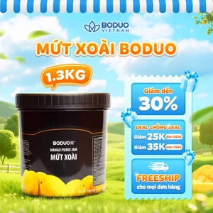Mứt Sốt Pha Chế Boduo Xoài 1,3kg