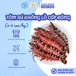 [HỎA TỐC HCM] Tôm sú khổng lồ thiên nhiên, tôm sú cáp dông h bằng công nghệ IQF giữ độ tươi ngọt tự nhiên — ảnh 2