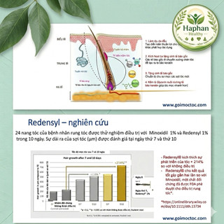 Redenlyl Lotion - Xịt dưỡng tóc , chống rụng tóc, kích thích mọc tóc
