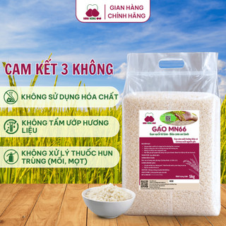 [DATE MỚI]Combo 2Túi Gạo Sạch Hữu Cơ MN66 Ngon Cơm,Dẻo Vừa,Mềm Cơm,Hỗ Trợ Tiêu Hóa,Không Chất Bảo Quản,Gạo Quê(Túi 5kg)