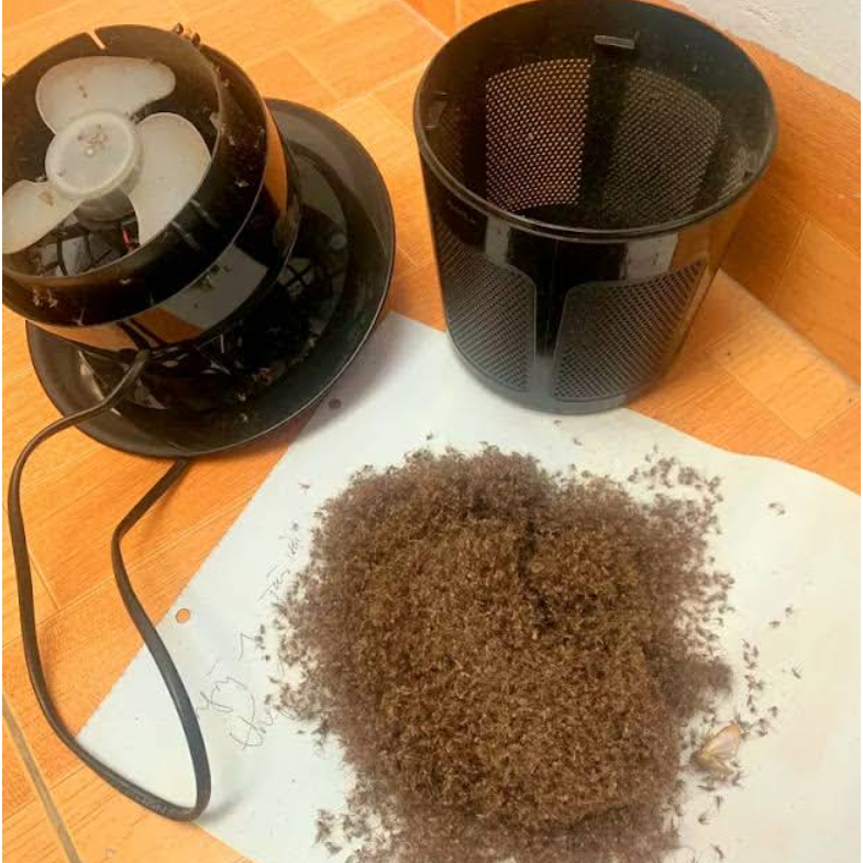 Đèn bắt muỗi, máy diệt muỗi Rạng Đông 5W UV quạt hút thông minh an toàn cho gia đình