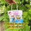 set 5 cái túi đựng quà in màu 2 mặt theo yêu cầu về tự dán theo sở thích có video hướng dẫn