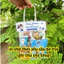 set 5 cái túi đựng quà in màu 2 mặt theo yêu cầu về tự dán theo sở thích có video hướng dẫn