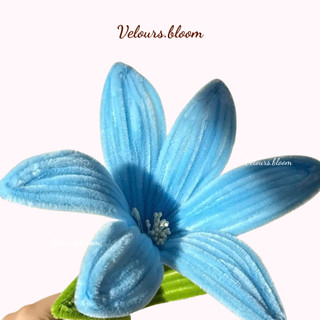 [Velours.bloom] Set DIY Hoa Kẽm Nhung Pastel Hàn Quốc - Full Nguyên Liệu Làm Hoa Lily Quà Tặng Thủ Công
