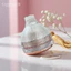 Kem nám Camellia H nhân sâm đỏ Hàn Quốc hỗ trợ làm đều màu da dưỡng da sáng mịn
