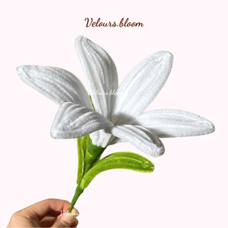 [Velours.bloom] LOẠI 1 - Kẽm Nhung 8mm Mix Màu Ngẫu Nhiên Siêu Dày 100 bó