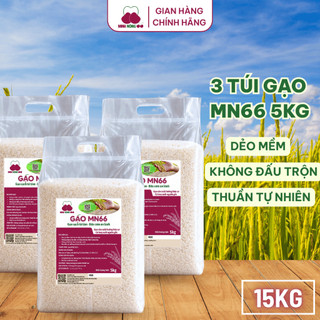 [DATE MỚI]Combo 3Túi Gạo Sạch Hữu Cơ MN66 Ngon Cơm,Dẻo Vừa,Mềm Cơm,Hỗ Trợ Tiêu Hóa,Không Chất Bảo Quản,Gạo Quê (Túi 5kg)