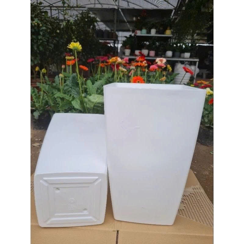 Combo 2( combo 3-5 chậu) Chậu nhựa vuông cao V25 kích thước miệng 24cmx cao 40cm