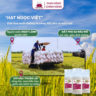 [DATE MỚI]Gạo Sạch Hữu Cơ MN66 Ngon Cơm,Dẻo Vừa,Mềm Cơm,Hỗ Trợ Tiêu Hóa, Không Chất Bảo Quản,Gạo Quê (Túi 2kg)