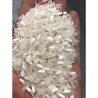 Gạo séng cù hạt dài( túi 5kg)