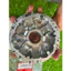 Chén Bi Gắn Xe Sh 150 Đời 2013-2019 Chính Hãng Mã ( 22110-K01-900 )