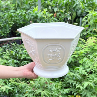 Chậu cây tùng cúc – Chậu trồng cây nhựa bền đẹp, form tròn chắc chắn, thoát nước tốt