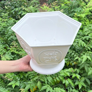 Chậu cây tùng cúc – Chậu trồng cây nhựa bền đẹp, form tròn chắc chắn, thoát nước tốt