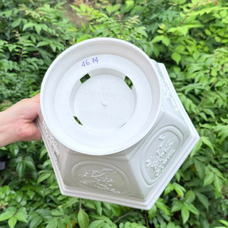 Chậu cây tùng cúc – Chậu trồng cây nhựa bền đẹp, form tròn chắc chắn, thoát nước tốt