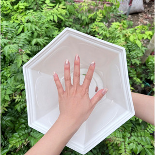 Chậu cây tùng cúc – Chậu trồng cây nhựa bền đẹp, form tròn chắc chắn, thoát nước tốt