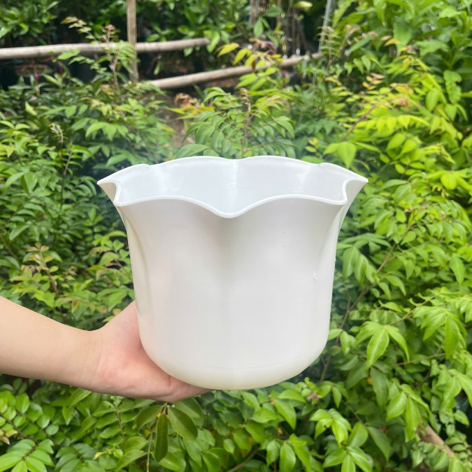 Chậu cây miệng Bèo 2 Tấc 20cm Nhựa Dày Cao Cấp Trồng Cây Cảnh Hoa Trang Trí
