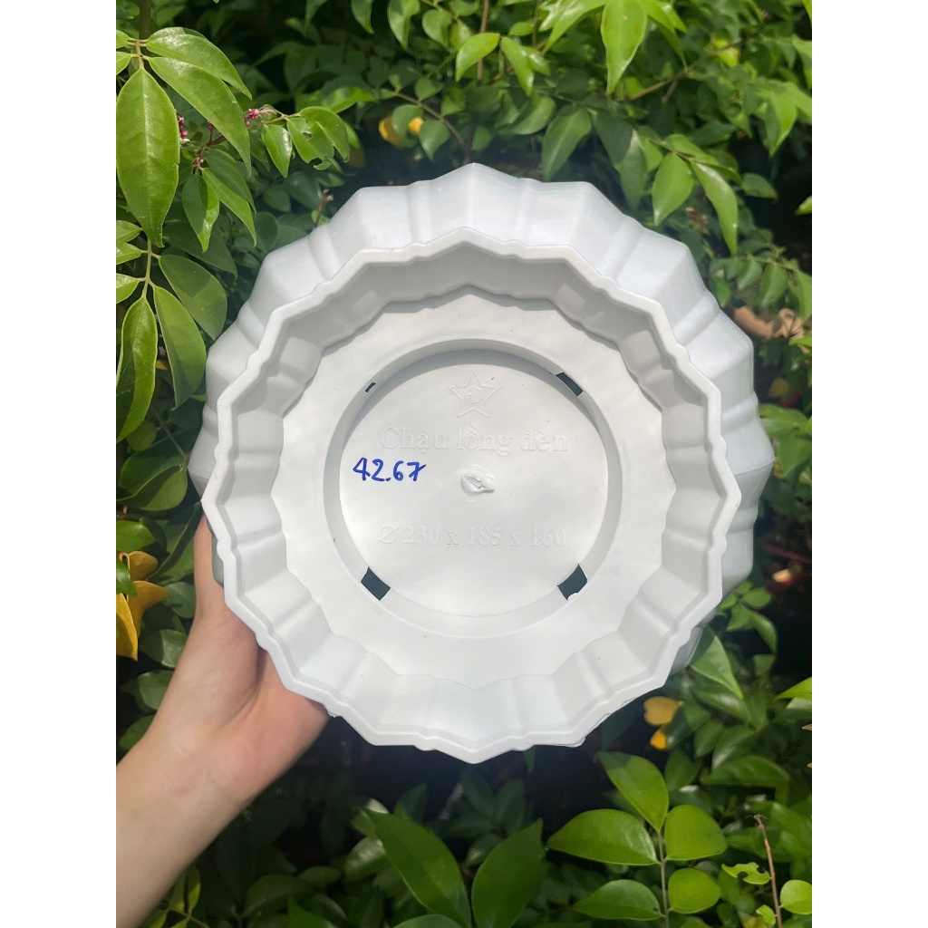 Chậu cây lồng Đèn Nhựa Dày Cao Cấp 23–33cm Trồng Cây Cảnh Cây Ăn Trái Trang Trí Sân Vườn Ban Công