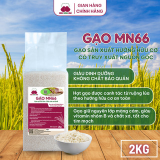 [DATE MỚI]Gạo Sạch Hữu Cơ MN66 Ngon Cơm,Dẻo Vừa,Mềm Cơm,Hỗ Trợ Tiêu Hóa, Không Chất Bảo Quản,Gạo Quê (Túi 2kg)