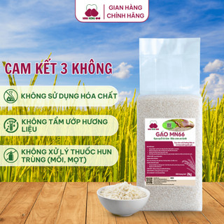 [DATE MỚI]Gạo Sạch Hữu Cơ MN66 Ngon Cơm,Dẻo Vừa,Mềm Cơm,Hỗ Trợ Tiêu Hóa, Không Chất Bảo Quản,Gạo Quê (Túi 2kg)