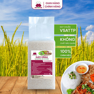 [DATE MỚI]Gạo Sạch Hữu Cơ MN66 Ngon Cơm,Dẻo Vừa,Mềm Cơm,Hỗ Trợ Tiêu Hóa, Không Chất Bảo Quản,Gạo Quê (Túi 2kg)