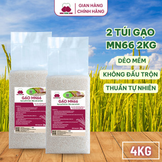 [DATE MỚI]Combo 2Túi Gạo Sạch Hữu Cơ MN66 Ngon Cơm,Dẻo Vừa,Mềm Cơm,Hỗ Trợ Tiêu Hóa,Không Chất Bảo Quản,Gạo Quê (Túi 2kg)