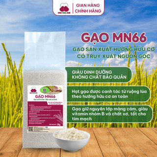 [DATE MỚI]Combo 3Túi Gạo Sạch Hữu Cơ MN66 Ngon Cơm,Dẻo Vừa,Mềm Cơm,Hỗ Trợ Tiêu Hóa,Không Chất Bảo Quản,Gạo Quê (Túi 2kg)