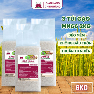 [DATE MỚI]Combo 3Túi Gạo Sạch Hữu Cơ MN66 Ngon Cơm,Dẻo Vừa,Mềm Cơm,Hỗ Trợ Tiêu Hóa,Không Chất Bảo Quản,Gạo Quê (Túi 2kg)