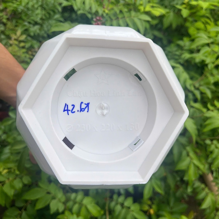 Chậu cây linh lan 3 size – Chậu trồng cây nhựa bền đẹp, form cao thoáng, thoát nước tốt