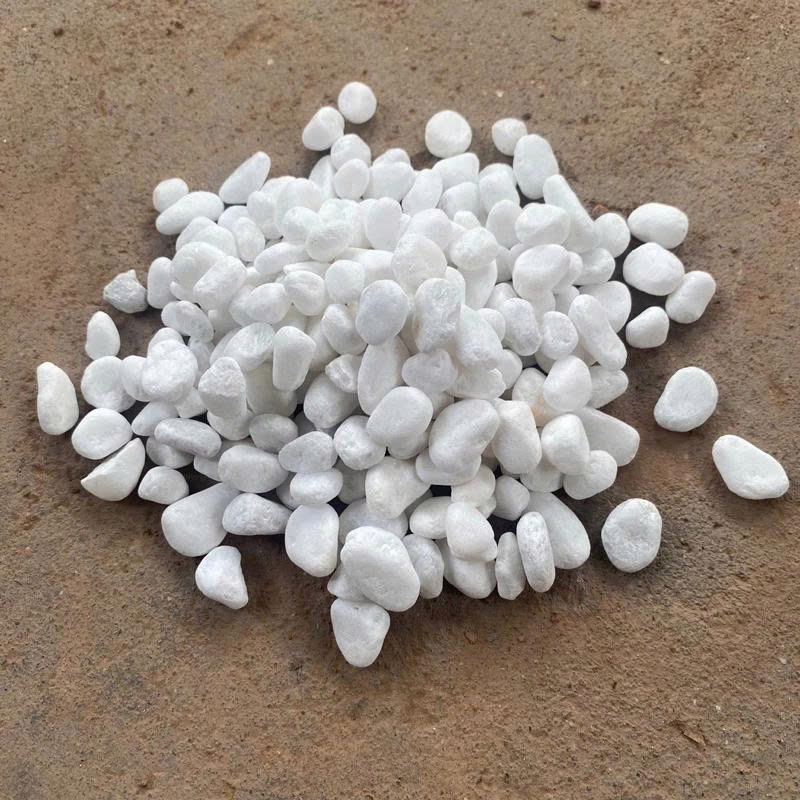 Combo 5-10kg Sỏi trắng trang trí gốc cây sân vườn bể cá cỡ nhỏ, trung,đại