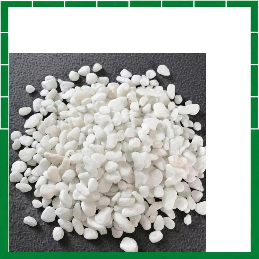 Combo 5-10kg Sỏi trắng trang trí gốc cây sân vườn bể cá cỡ nhỏ, trung,đại