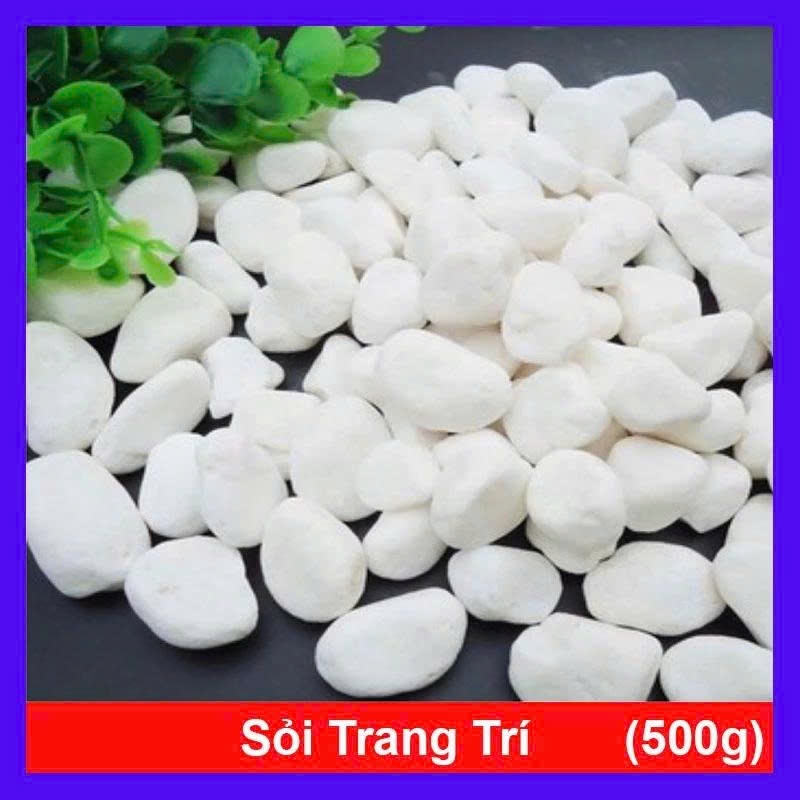 Combo 5-10kg Sỏi trắng trang trí gốc cây sân vườn bể cá cỡ nhỏ, trung,đại
