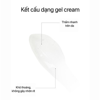 Kem Dưỡng Cấp Ẩm, Sáng Da Hiệu Ứng Glow Không Nhờn Rít Transparent Lab Niacinamide Glow Cream