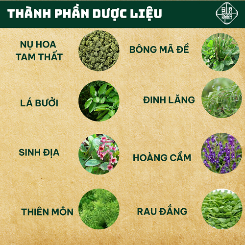Trà Tiền Đình Ù Tai - Bội Lan Đường - Thiếu Má.u não, tụt huyết áp, tiền mãn kinh - Túi 50 Lọc