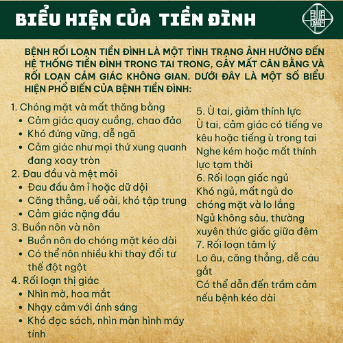 Trà Tiền Đình Ù Tai - Bội Lan Đường - Thiếu Má.u não, tụt huyết áp, tiền mãn kinh - Túi 50 Lọc