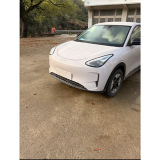 Ốp Calang Geely Ex2 Miếng Ốp Trang Trí Phần Hốc Gió Dưới Geely Ex2
