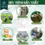 Trà lá nam 10 vị - Làng Mai - Hỗ trợ giảm cân, thải mỡ không tích nước, mát gan.