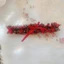 CHE TÊN LC011 - Vòng Ren Đeo Đùi Co Giãn Đính Nơ Phối Ren Phong Cách Lolita Nhật Bản Ngọt Ngào - KELLYWANG