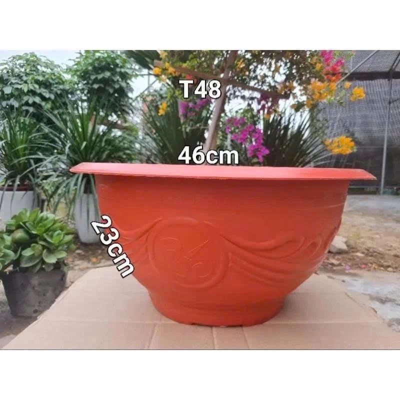 (chậu t48 bít lỗ) combo 10 châu T48 không khoan lỗ màu đen/đỏ (46x24cm)