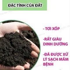 (Combo 5-10kg) Đất sạch vi sinh siêu dinh dưỡng diệt trùng kháng khuẩn cực tốt chuyên dùng trồng Rau, Củ, Quả