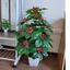 Đất sạch vi sinh siêu dinh dưỡng diệt trùng kháng khuẩn cực tốt chuyên dùng trồng Rau, Củ, Quả
