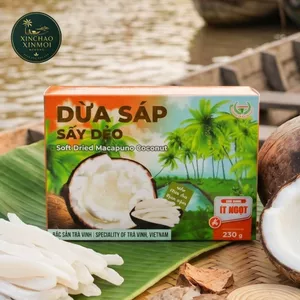 Mứt Dừa Sáp Sấy Dẻo VICOSAP | Ít Ngọt, Dẻo Mềm | Đặc Sản Trà Vinh (Hộp 230g)