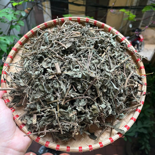 Lá Hương Nhu Khô Tự Nhiên 100% – Gội Đầu, Xông Hơi, Thảo Mộc – Dược Quý Thiên Phúc